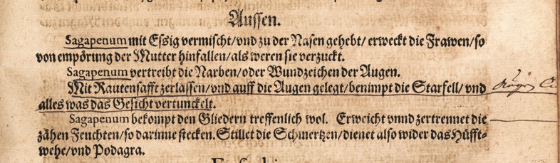 Kreutterbuch