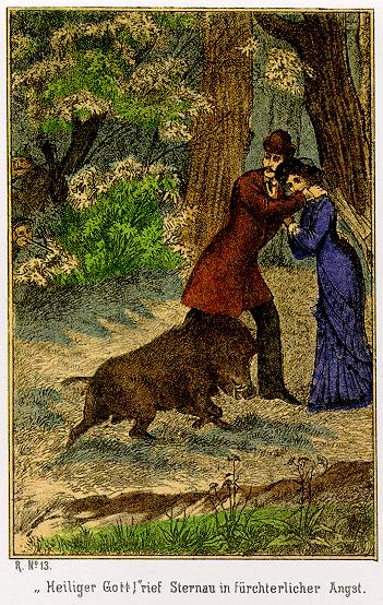 Waldröschen-Illustration