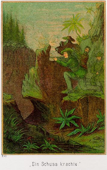 Waldröschen Illustration