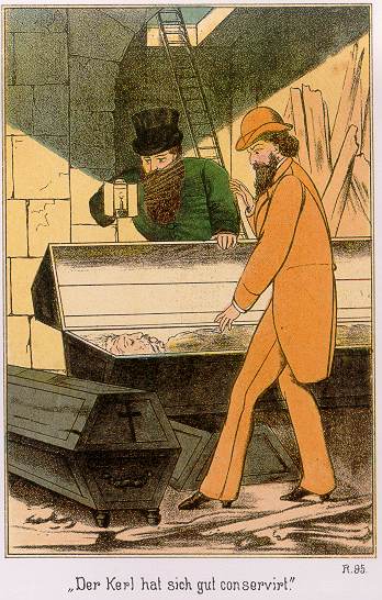 Waldröschen Illustration